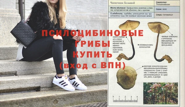 наркотики Киреевск
