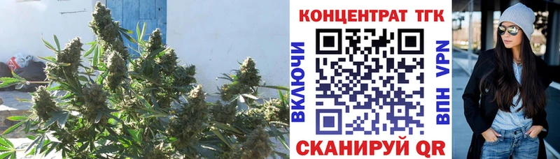 Дистиллят ТГК Wax  Купить закладки  Сатка 